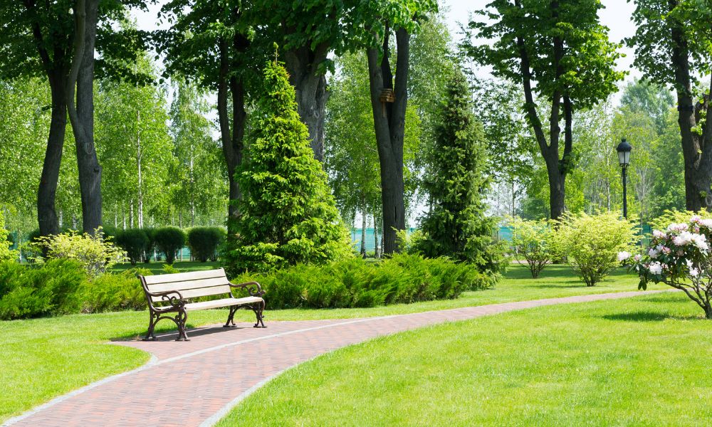 Why Public Parks Are Essential Public Services