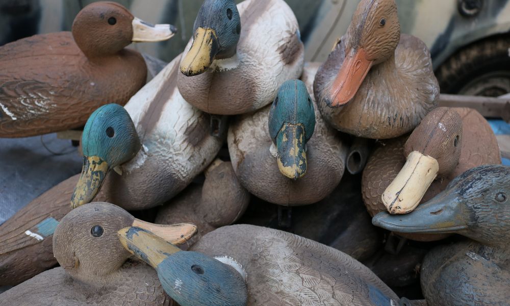 5 Things Every Beginner Should Know About Duck Hunting